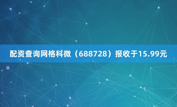 配资查询网格科微(688728)报收于15.99元