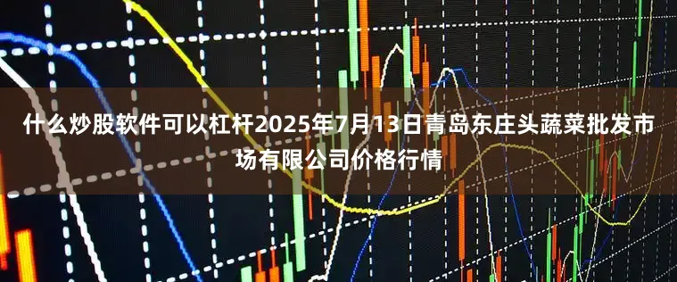 什么炒股软件可以杠杆2025年7月13日青岛东庄头蔬菜批发市场有限公司价格行情