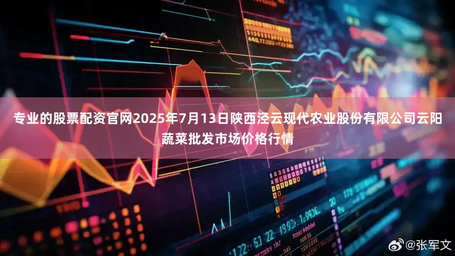 专业的股票配资官网2025年7月13日陕西泾云现代农业股份有限公司云阳蔬菜批发市场价格行情